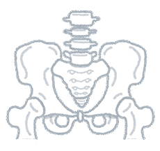 骨盤底筋