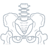 骨盤臓器脱の症状